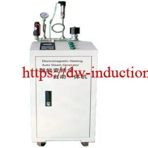 Electromagnetic Induction Heating Steam Generators